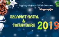 Selamat Natal dan Tahun Baru 2019