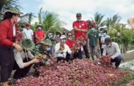 Ketua DPRD imade Dirga S.sos bersama Ibu Bupati Tabanan Menanam Sayur dalam Rangka Optimalisasi Lahan Tidur Untuk Usaha Pertanian