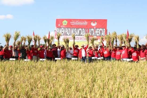 Panen Padi Nusantara Satu Juta Hektar